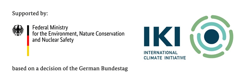 International Climate Initiative