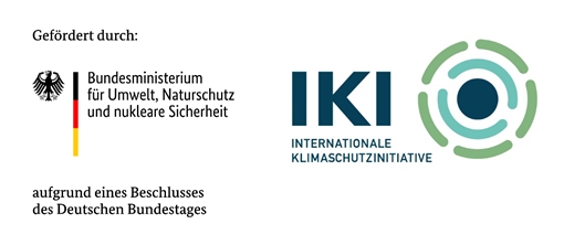 Internationale Klimaschutzinitiative Internationale Klimaschutzinitiative