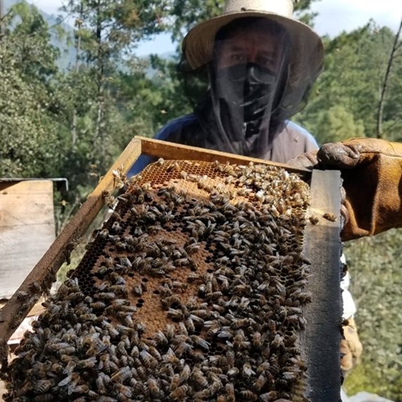 Beekeeping © GNF