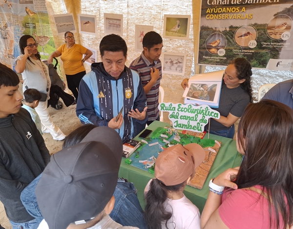 Krabbenfestival (c) Aves y Conservación