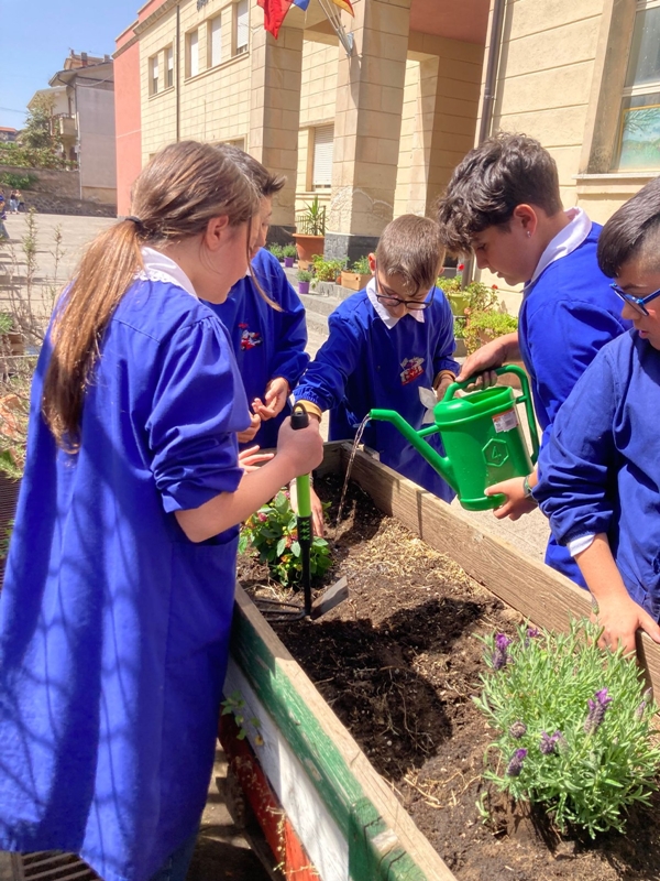 Environmnetal Education