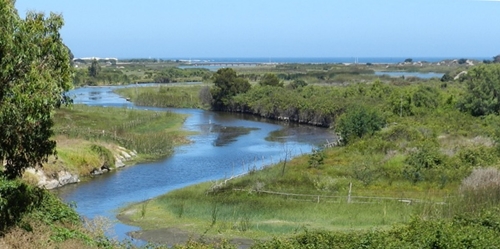 FiPaNCu