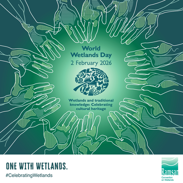Video World Wetlands Day 2026