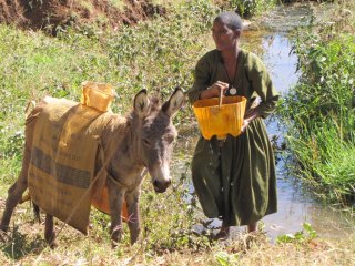 Bäuerin am Tanasee Äthiopien