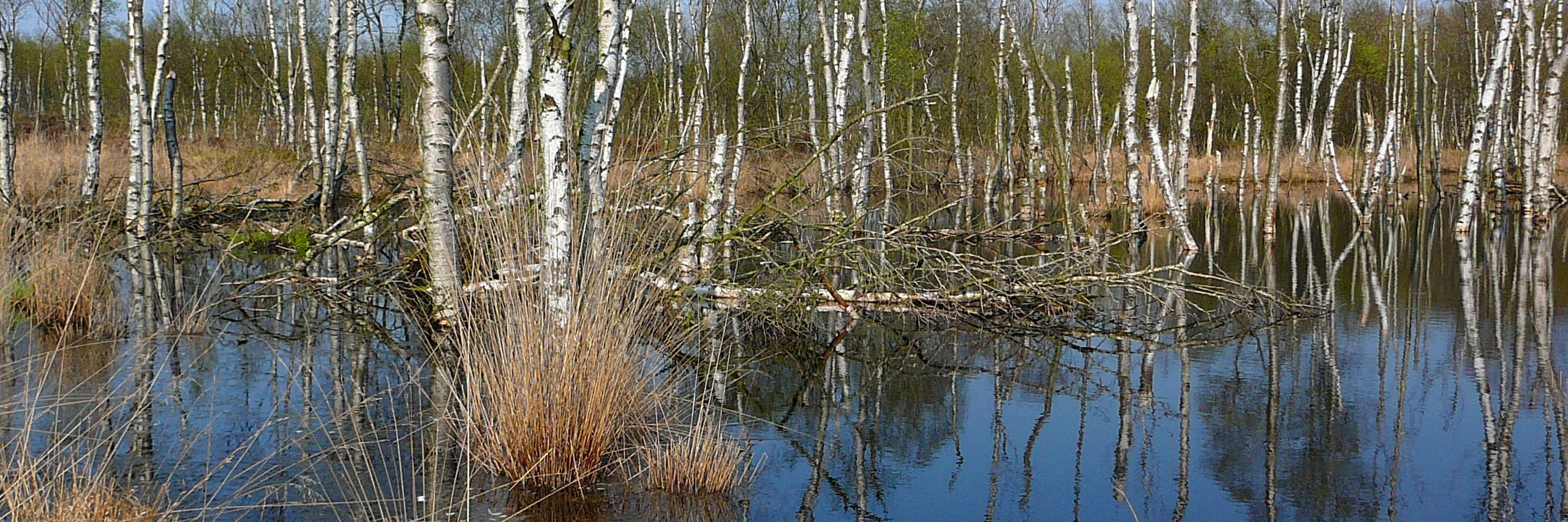 Moore & Klima / ManfredHermsenStiftung